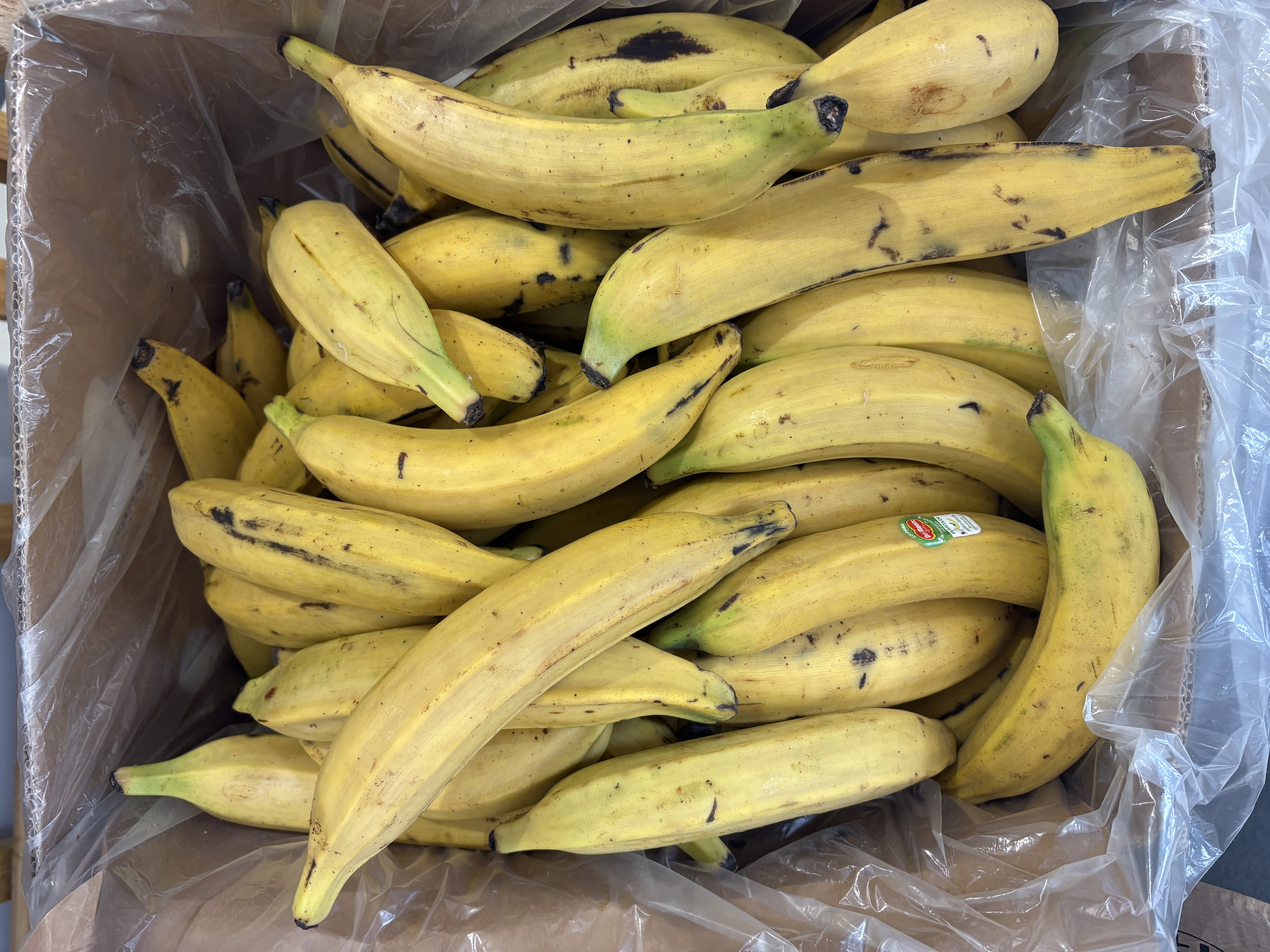 Banane Plantain